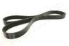 ASHIKA 112-6PK1750 V-Ribbed Belts